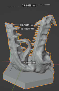 screenshot blender measuring dragon head