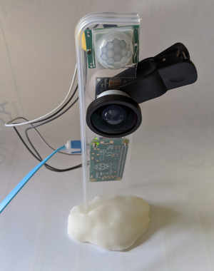 pi zero camera top view