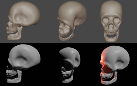 skull renders from different angles and lighting