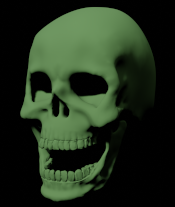 3D human skull sculpt