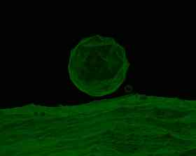 render of microscopic world